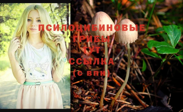 экстази Алексин