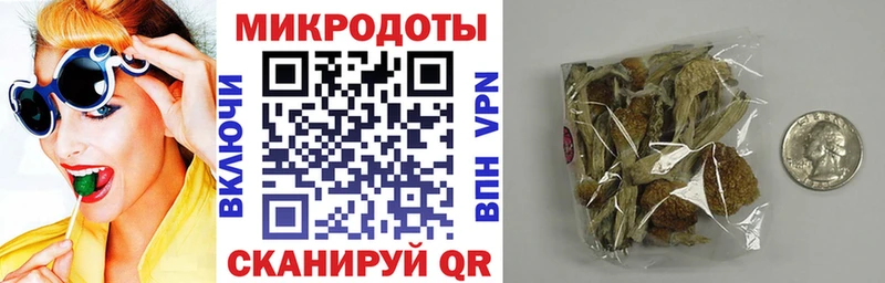 Псилоцибиновые грибы мухоморы Мичуринск