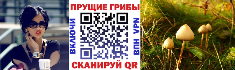гидра ONION  дарнет шоп  Мичуринск  Галлюциногенные грибы MAGIC MUSHROOMS 